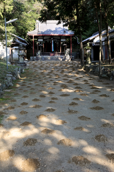 佐紀神社の砂モチ